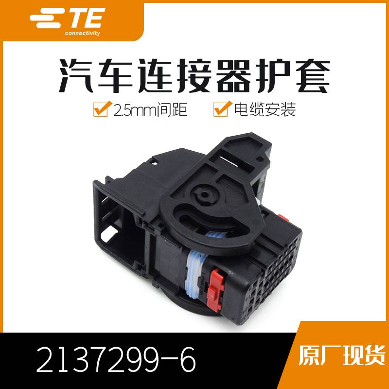 2137299-6