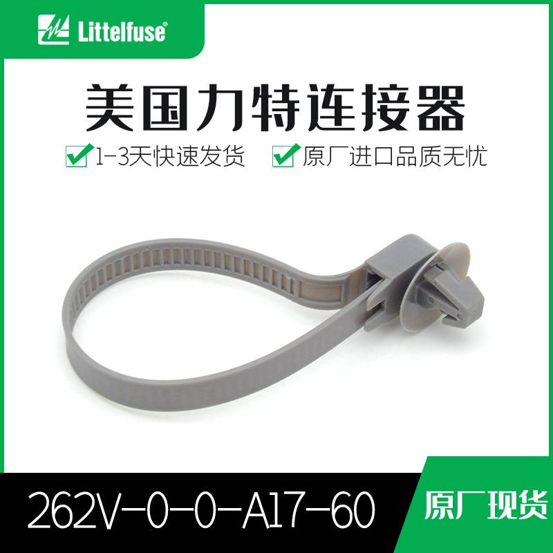 262V-0-0-A17-60