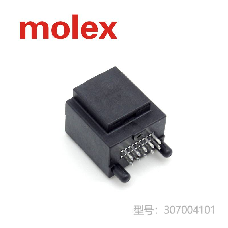 307004101