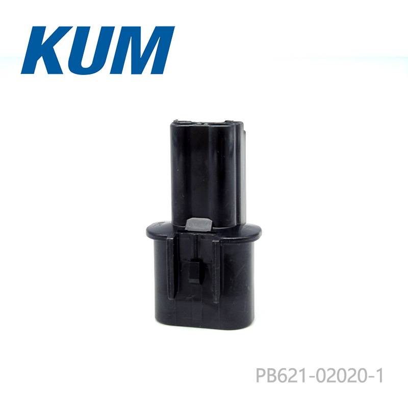 PB621-02020-1