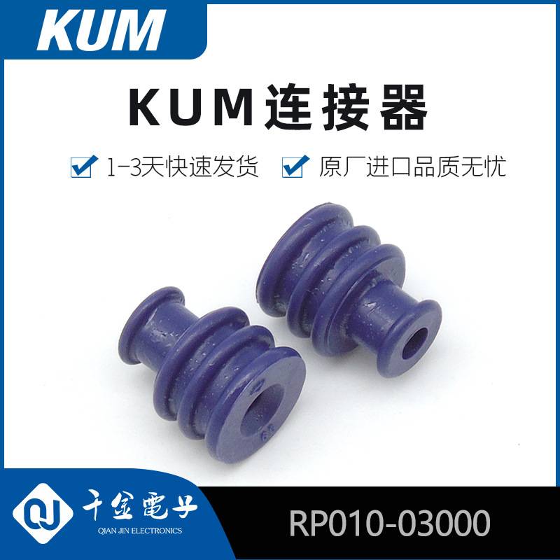 RP010-03000