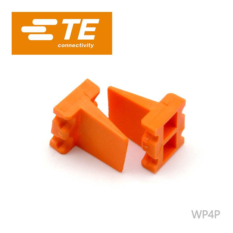 WP4P